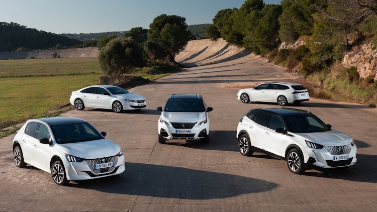Peugeot 2008, 3008, 5008: los probamos para ayudarte a elegir qué SUV  comprar